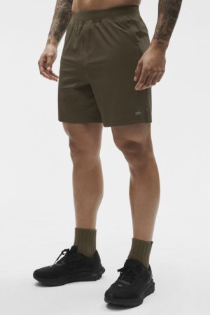 7 Repetition Short - Olive Tree